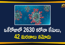 ఒకేరోజులో 2630 కరోనా కేసులు, 42 మరణాలు నమోదు Corona Positive Cases in Maharashtra, Corona Positive Cases In Maharashtra, Maharashtra, Maharashtra , Maharashtra Corona, Maharashtra Corona Cases, Maharashtra Corona Deaths, Maharashtra Corona Positive Cases, Maharashtra Coronavirus, Maharashtra Coronavirus Positive Cases, Maharashtra Coronavirus Updates, Maharashtra COVID 19,mango news