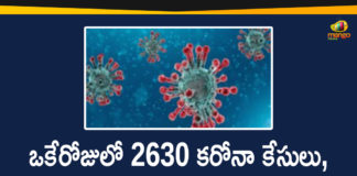 Corona Positive Cases in Maharashtra, Corona Positive Cases In Maharashtra, Maharashtra, Maharashtra , Maharashtra Corona, Maharashtra Corona Cases, Maharashtra Corona Deaths, Maharashtra Corona Positive Cases, Maharashtra Coronavirus, Maharashtra Coronavirus Positive Cases, Maharashtra Coronavirus Updates, Maharashtra COVID 19,mango news