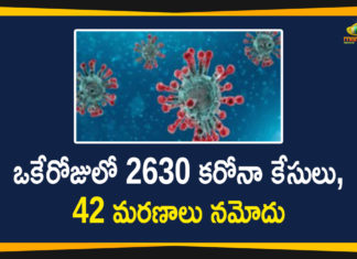 Corona Positive Cases in Maharashtra, Corona Positive Cases In Maharashtra, Maharashtra, Maharashtra , Maharashtra Corona, Maharashtra Corona Cases, Maharashtra Corona Deaths, Maharashtra Corona Positive Cases, Maharashtra Coronavirus, Maharashtra Coronavirus Positive Cases, Maharashtra Coronavirus Updates, Maharashtra COVID 19,mango news