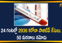 24 గంటల్లో 2936 కరోనా పాజిటివ్ కేసులు, 50 మరణాలు నమోదు Maharashtra Reports 2936 New Covid-19 Cases and 50 Deaths Today