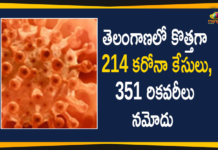 తెలంగాణలో కొత్తగా 214 కరోనా కేసులు, 351 రికవరీలు నమోదు Coronavirus, Coronavirus Breaking News, Coronavirus Latest News, COVID-19, telangana, Telangana Coronavirus, Telangana Coronavirus Cases, Telangana Coronavirus Deaths, Telangana Coronavirus New Cases, Telangana Coronavirus News, Telangana New Positive Cases, Total COVID 19 Cases
