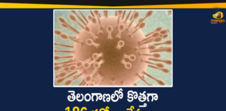 Coronavirus, COVID-19, Covid-19 Updates in Telangana, telangana corona district wise cases, telangana coronavirus cases district wise, telangana coronavirus cases today, telangana coronavirus cases today district wise, telangana coronavirus district wise, telangana coronavirus district wise List, Telangana Coronavirus News, telangana covid cases today bulletin, telangana covid cases today list,mango news