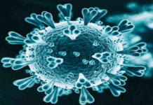 Coronavirus Cases, coronavirus cases india, coronavirus india, coronavirus india live updates, Coronavirus India News LIVE Updates, COVID-19 pandemic in India, India Coronavirus, India Covid-19 Updates, total corona cases in india today, Total Corona Positive Cases in India, total corona positive in india