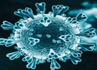 Coronavirus Cases, coronavirus cases india, coronavirus india, coronavirus india live updates, Coronavirus India News LIVE Updates, COVID-19 pandemic in India, India Coronavirus, India Covid-19 Updates, total corona cases in india today, Total Corona Positive Cases in India, total corona positive in india