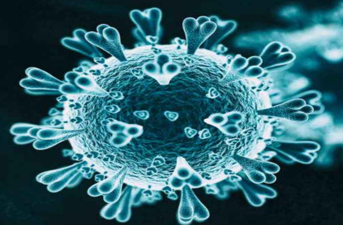 Coronavirus Cases, coronavirus cases india, coronavirus india, coronavirus india live updates, Coronavirus India News LIVE Updates, COVID-19 pandemic in India, India Coronavirus, India Covid-19 Updates, total corona cases in india today, Total Corona Positive Cases in India, total corona positive in india