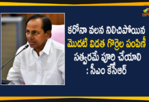 CM KCR, First Phase Sheep Distribution Program, KCR Orders Officials to Complete First Phase Sheep Distribution Program, Mango News Telugu, Sheep Distribution scheme, Telangana CM KCR, Telangana Sheep Distribution, Telangana Sheep Distribution scheme, Telangana Sheep Distribution scheme News, Telangana Sheep Distribution scheme Updates, Telangana Sheep Distribution Status