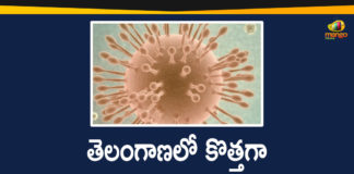 Coronavirus, COVID-19, Covid-19 Updates in Telangana, telangana corona district wise cases, telangana coronavirus cases district wise, telangana coronavirus cases today, telangana coronavirus cases today district wise, telangana coronavirus district wise, telangana coronavirus district wise List, Telangana Coronavirus News, telangana covid cases today bulletin, telangana covid cases today list,mango news