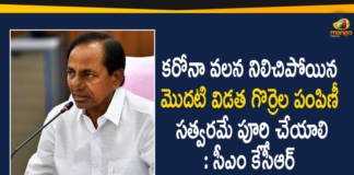 CM KCR, First Phase Sheep Distribution Program, KCR Orders Officials to Complete First Phase Sheep Distribution Program, Mango News Telugu, Sheep Distribution scheme, Telangana CM KCR, Telangana Sheep Distribution, Telangana Sheep Distribution scheme, Telangana Sheep Distribution scheme News, Telangana Sheep Distribution scheme Updates, Telangana Sheep Distribution Status