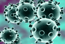 ఒకేరోజులో 3556 కరోనా కేసులు, 70 మరణాలు నమోదు Maharashtra Reports 3556 New Covid-19 Cases and 70 Deaths on JAN 13