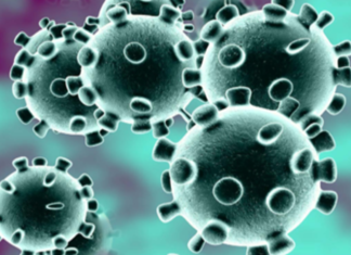 Maharashtra Reports 3556 New Covid-19 Cases and 70 Deaths on JAN 13