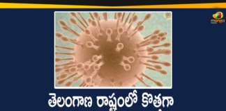 Coronavirus, COVID-19, Covid-19 Updates in Telangana, telangana corona district wise cases, telangana coronavirus cases district wise, telangana coronavirus cases today, telangana coronavirus cases today district wise, telangana coronavirus district wise, telangana coronavirus district wise List, Telangana Coronavirus News, telangana covid cases today bulletin, telangana covid cases today list,mango news