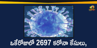 Corona Positive Cases in Maharashtra, Corona Positive Cases In Maharashtra, Maharashtra, Maharashtra , Maharashtra Corona, Maharashtra Corona Cases, Maharashtra Corona Deaths, Maharashtra Corona Positive Cases, Maharashtra Coronavirus, Maharashtra Coronavirus Positive Cases, Maharashtra Coronavirus Updates, Maharashtra COVID 19,mango news