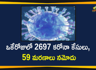 Corona Positive Cases in Maharashtra, Corona Positive Cases In Maharashtra, Maharashtra, Maharashtra , Maharashtra Corona, Maharashtra Corona Cases, Maharashtra Corona Deaths, Maharashtra Corona Positive Cases, Maharashtra Coronavirus, Maharashtra Coronavirus Positive Cases, Maharashtra Coronavirus Updates, Maharashtra COVID 19,mango news