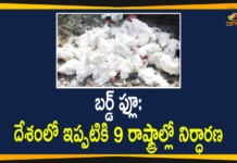 Bird Flu Status: So far 9 States Affected in the Country