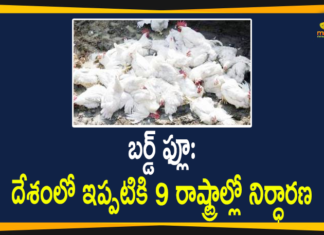 Bird Flu Status: So far 9 States Affected in the Country