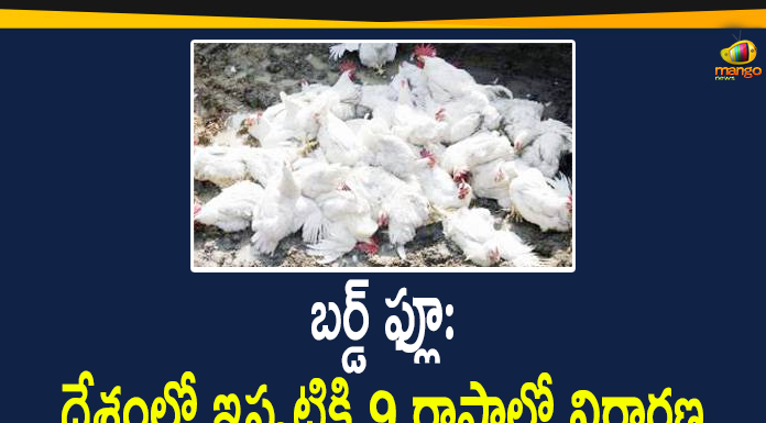 Bird Flu Status: So far 9 States Affected in the Country