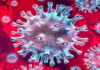 Coronavirus, Coronavirus Breaking News, Coronavirus Latest News, COVID-19, telangana, Telangana Coronavirus, Telangana Coronavirus Cases, Telangana Coronavirus Deaths, Telangana Coronavirus New Cases, Telangana Coronavirus News, Telangana New Positive Cases, Total COVID 19 Cases