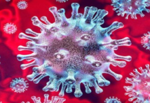 Coronavirus, Coronavirus Breaking News, Coronavirus Latest News, COVID-19, telangana, Telangana Coronavirus, Telangana Coronavirus Cases, Telangana Coronavirus Deaths, Telangana Coronavirus New Cases, Telangana Coronavirus News, Telangana New Positive Cases, Total COVID 19 Cases