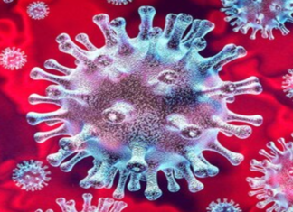 Coronavirus, Coronavirus Breaking News, Coronavirus Latest News, COVID-19, telangana, Telangana Coronavirus, Telangana Coronavirus Cases, Telangana Coronavirus Deaths, Telangana Coronavirus New Cases, Telangana Coronavirus News, Telangana New Positive Cases, Total COVID 19 Cases