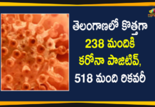 Coronavirus, COVID-19, Covid-19 Updates in Telangana, telangana corona district wise cases, telangana coronavirus cases district wise, telangana coronavirus cases today, telangana coronavirus cases today district wise, telangana coronavirus district wise, telangana coronavirus district wise List, Telangana Coronavirus News, telangana covid cases today bulletin, telangana covid cases today list,mango news