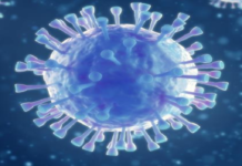 Coronavirus Cases, coronavirus cases in india state wise, coronavirus cases in india today state wise, coronavirus cases india, coronavirus india, India Coronavirus, India Covid-19 Updates, New Confirmed Corona Cases, total corona cases in india today, total corona positive in india,mango news