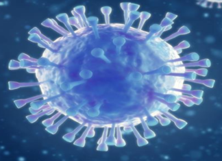 Coronavirus Cases, coronavirus cases in india state wise, coronavirus cases in india today state wise, coronavirus cases india, coronavirus india, India Coronavirus, India Covid-19 Updates, New Confirmed Corona Cases, total corona cases in india today, total corona positive in india,mango news