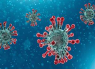 Corona Positive Cases in Maharashtra, Corona Positive Cases In Maharashtra, Maharashtra, Maharashtra , Maharashtra Corona, Maharashtra Corona Cases, Maharashtra Corona Deaths, Maharashtra Corona Positive Cases, Maharashtra Coronavirus, Maharashtra Coronavirus Positive Cases, Maharashtra Coronavirus Updates, Maharashtra COVID 19,mango news