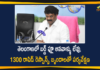 Bird Flu, Bird Flu Cases, bird flu in Bengaluru, Bird Flu in Telangana, Bird Flu Outbreak, Centre confirms bird flu, Centre Confirms Bird Flu Cases, Centre confirms bird flu outbreak, Centre confirms bird flu strain, Centre Confirms Outbreak Of Bird Flu, Mango News Telugu, Minister Talasani Srinivas Yadav, Outbreak Of Bird Flu, talasani srinivas yadav, Talasani Srinivas Yadav Says There are no Signs of Bird Flu, There are no Signs of Bird Flu in Telangana