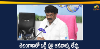 Bird Flu, Bird Flu Cases, bird flu in Bengaluru, Bird Flu in Telangana, Bird Flu Outbreak, Centre confirms bird flu, Centre Confirms Bird Flu Cases, Centre confirms bird flu outbreak, Centre confirms bird flu strain, Centre Confirms Outbreak Of Bird Flu, Mango News Telugu, Minister Talasani Srinivas Yadav, Outbreak Of Bird Flu, talasani srinivas yadav, Talasani Srinivas Yadav Says There are no Signs of Bird Flu, There are no Signs of Bird Flu in Telangana