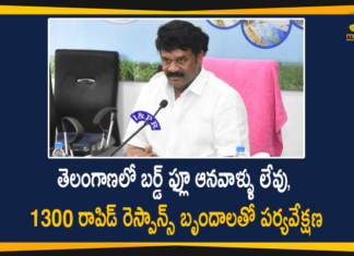 Bird Flu, Bird Flu Cases, bird flu in Bengaluru, Bird Flu in Telangana, Bird Flu Outbreak, Centre confirms bird flu, Centre Confirms Bird Flu Cases, Centre confirms bird flu outbreak, Centre confirms bird flu strain, Centre Confirms Outbreak Of Bird Flu, Mango News Telugu, Minister Talasani Srinivas Yadav, Outbreak Of Bird Flu, talasani srinivas yadav, Talasani Srinivas Yadav Says There are no Signs of Bird Flu, There are no Signs of Bird Flu in Telangana