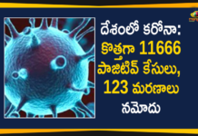 దేశంలో కరోనా: కొత్తగా 11666 పాజిటివ్ కేసులు, 123 మరణాలు నమోదు Coronavirus Cases, coronavirus cases india, coronavirus india, coronavirus india live updates, Coronavirus India News LIVE Updates, COVID-19 pandemic in India, India Coronavirus, India Covid-19 Updates, total corona cases in india today, Total Corona Positive Cases in India, total corona positive in india