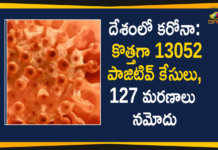 దేశంలో కరోనా రికవరీ రేటు 96.99 శాతం, మరణాల రేటు 1.44 శాతం Coronavirus Cases, coronavirus cases india, coronavirus india, coronavirus india live updates, Coronavirus India News LIVE Updates, COVID-19 pandemic in India, India Coronavirus, India Covid-19 Updates, total corona cases in india today, Total Corona Positive Cases in India, total corona positive in india