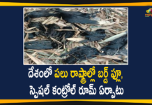 Bird Flu, Bird Flu Cases, bird flu in Bengaluru, Bird Flu Outbreak, Centre confirms bird flu, Centre Confirms Bird Flu Cases, Centre Confirms Bird Flu Cases in Rajasthan, Centre confirms bird flu outbreak, Centre confirms bird flu strain, Centre Confirms Outbreak Of Bird Flu, Himachal Pradesh, Kerala, Madhya Pradesh, Mango News Telugu, Outbreak Of Bird Flu