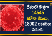 దేశంలో కొత్తగా 14545 కరోనా కేసులు, 18002 రికవరీలు నమోదు Coronavirus Cases, coronavirus cases india, coronavirus india, coronavirus india live updates, Coronavirus India News LIVE Updates, COVID-19 pandemic in India, India Coronavirus, India Covid-19 Updates, total corona cases in india today, Total Corona Positive Cases in India, total corona positive in india