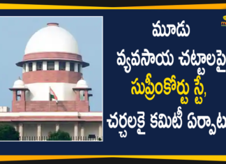 coronavirus vaccine, Coronavirus Vaccine Latest News, Coronavirus Vaccine News, Covid-19 Vaccination, Covid-19 Vaccination Distribution In Telangana, CS Somesh Kumar held Review with all District Collectors, CS Somesh Kumar Meeting, CS Somesh Kumar Meeting On Corona Vaccine, Mango News, Somesh Kumar, telangana, Telangana Covid-19 Vaccination Distribution, Telangana CS, Telangana CS Somesh Kumar, Telangana News