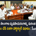 CM KCR, CM KCR Holds Review on Comprehensive Planning, CM KCR Review on Comprehensive Planning, CM KCR Review on Development of Horticultural Crops, Comprehensive Planning for Development of Horticultural Crops, Development of Horticultural Crops, Development of Horticultural Crops In Telangana, Horticultural Crops, Horticultural Crops Development, Mango News, Mango News Telugu, Telangana CM KCR