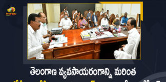 CM KCR, CM KCR Holds Review on Comprehensive Planning, CM KCR Review on Comprehensive Planning, CM KCR Review on Development of Horticultural Crops, Comprehensive Planning for Development of Horticultural Crops, Development of Horticultural Crops, Development of Horticultural Crops In Telangana, Horticultural Crops, Horticultural Crops Development, Mango News, Mango News Telugu, Telangana CM KCR