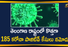Coronavirus, COVID-19, Covid-19 Updates in Telangana, telangana corona district wise cases, telangana coronavirus cases district wise, telangana coronavirus cases today, telangana coronavirus cases today district wise, telangana coronavirus district wise, telangana coronavirus district wise List, Telangana Coronavirus News, telangana covid cases today bulletin, telangana covid cases today list,mango news
