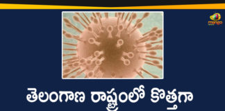 Telangana Corona Updates: 99 New Positive Cases 169 Recovered Cases Reported on Feb 14,Mango News,Mango News Telugu,Coronavirus, COVID-19, Covid-19 Updates in Telangana, telangana corona district wise cases, Telangana Corona Updates, telangana coronavirus cases district wise, telangana coronavirus cases today, telangana coronavirus cases today district wise, telangana coronavirus district wise, telangana coronavirus district wise List, Telangana Coronavirus News, telangana covid cases today bulletin, telangana covid cases today list