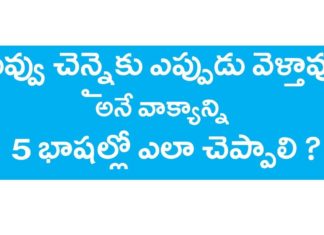నువ్వు చెన్నైకు ఎప్పుడు వెళ్తావు? అనే వాక్యాన్ని 5 భాషల్లో ఎలా చెప్పాలి? నువ్వు చెన్నైకు ఎప్పుడు వెళ్తావు? అనే వాక్యాన్ని 5 భాషల్లో ఎలా చెప్పాలి?,English,Tamil,Kannada,Hindi,KVR institute,kannada,malayalam,house in tamil,english through telugu,learn english through telugu,learn tamil through telugu,learn kannada through telugu,learn malayalam through telugu,learn hindi through telugu,english grammar through telugu,hindi grammar through telugu,tamil grammar through telugu,malayalaym grammar through telugu,kannada grammar,kvr channel