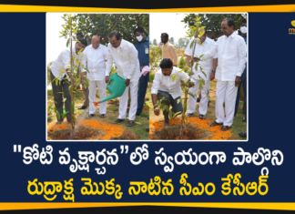 CM KCR Birthday, CM KCR Birthday Celebrations, KCR Birthday, Koti Vruksharchana, Koti Vruksharchana Program, Koti Vruksharchana Programe On CM KCR Birthday, KotiVruksharchana, KotiVruksharchana Program held in a Grand Way Across, Mango News, One crore saplings to be planted on CM KCR Birthday, Telangana CM KCR Birthday, Vruksharchana Program