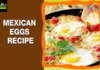 Quick and Easy Egg Recipes,Mexican Eggs Recipe,Easy Egg Recipes,Quick Egg Recipes,Wow Recipes,Egg,Recipe (Website Category),Cooking (Interest),Kitchen,Food,Egg (Food),Restaurant,Mexican Food (Cuisine),Recipes,Mexico,Egg White (Food),Egg Plant,Boiled Egg (Food),Cook books,Street food,Cook,Dinner,Healthy,Easy,Home Made,Tips,Cooking Tips,Tricks