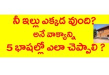 Learn 5 Languages through Telugu - KVR Institute,Mango News,Mango News Telugu,నీ ఇల్లు ఎక్కడ ఉంది? అనే వాక్యాన్ని 5 భాషల్లో ఎలా చెప్పాలి?,English,Tamil,Kannada,Hindi,KVR institute,kannada,malayalam,house in tamil,house in malayalam,house in kannada,house in hindi,learn english through telugu,learn tamil through telugu,learn kannada through telugu,learn malayalam through telugu,learn hindi through telugu,english grammar through telugu,hindi grammar through telugu,tamil grammar through telugu,malayalaym grammar,kannada grammar,kvr channel