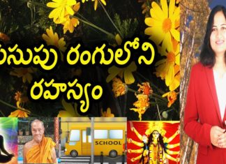 భారతీయ సంస్కృతిలో పసుపు రంగు యొక్క ప్రాముఖ్యత, ప్రత్యేకత ఏంటి? Importance Of Yellow Color In Indian Culture,Yellow Color Characteristics,YUVARAJ infotainment,yellow colour,yellow colour characteristics,yellow color,yellow color characteristics in telugu,yellow color qualities,qualities of yellow color,yellow color meaning,yellow color meaning personality,yellow color meaning in telugu,what if we see yellow color in dream,yellow favourite colour,yellow is my favourite color,yellow favorite color,yellow color in telugu