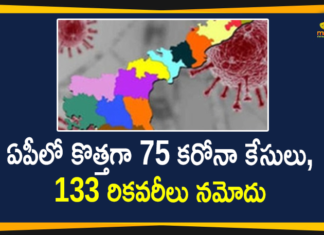 ఏపీలో 24 గంటల్లో 34864 శాంపిల్స్ కు పరీక్షలు, 75 మందికి పాజిటివ్ Andhra Pradesh, Andhra Pradesh COVID-19 Daily Bulletin, Andhra Pradesh Department of Health, ap coronavirus cases today, ap coronavirus cases total, ap coronavirus updates district wise, AP COVID 19 Cases, AP Total Positive Cases, COVID-19, COVID-19 Daily Bulletin, Total Corona Cases In AP,mango news