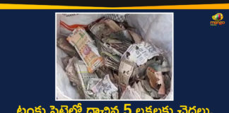 5 Lakh Worth Currency Notes Damaged, Andhra Pradesh, AP News, Currency Notes Damaged due to Termites in Krishna District, Mango News, Termites eat millions at a bank in India, Termites eat up currency, Termites eat up currency in AP, Termites eat up currency in Krishna District, Termites eat up currency worth ₹5 lakh