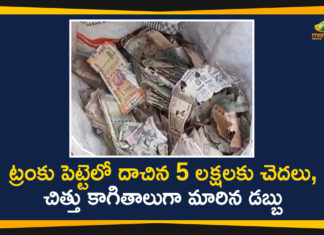 5 Lakh Worth Currency Notes Damaged, Andhra Pradesh, AP News, Currency Notes Damaged due to Termites in Krishna District, Mango News, Termites eat millions at a bank in India, Termites eat up currency, Termites eat up currency in AP, Termites eat up currency in Krishna District, Termites eat up currency worth ₹5 lakh