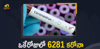 Corona Positive Cases in Maharashtra, Corona Positive Cases In Maharashtra, Maharashtra, Maharashtra , Maharashtra Corona, Maharashtra Corona Cases, Maharashtra Corona Deaths, Maharashtra Corona Positive Cases, Maharashtra Coronavirus, Maharashtra Coronavirus Positive Cases, Maharashtra Coronavirus Updates, Maharashtra COVID 19,mango news