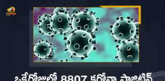Corona Positive Cases in Maharashtra, Corona Positive Cases In Maharashtra, Maharashtra, Maharashtra , Maharashtra Corona, Maharashtra Corona Cases, Maharashtra Corona Deaths, Maharashtra Corona Positive Cases, Maharashtra Coronavirus, Maharashtra Coronavirus Positive Cases, Maharashtra Coronavirus Updates, Maharashtra COVID 19,mango news
