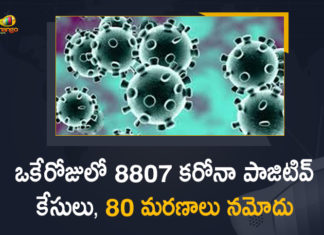 Corona Positive Cases in Maharashtra, Corona Positive Cases In Maharashtra, Maharashtra, Maharashtra , Maharashtra Corona, Maharashtra Corona Cases, Maharashtra Corona Deaths, Maharashtra Corona Positive Cases, Maharashtra Coronavirus, Maharashtra Coronavirus Positive Cases, Maharashtra Coronavirus Updates, Maharashtra COVID 19,mango news